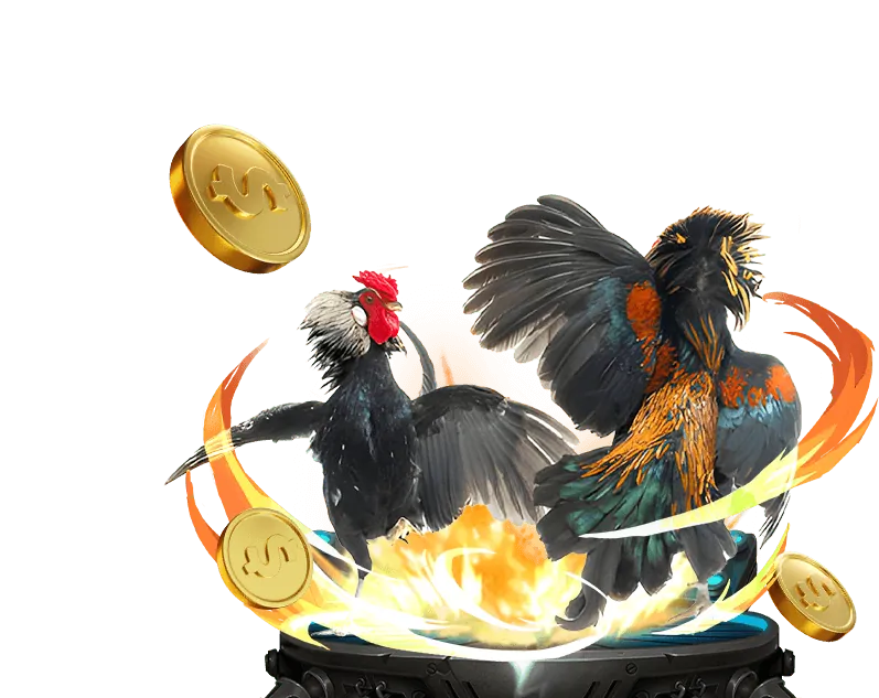 Trực Tiếp Đá Gà C1 Hôm Nay 888